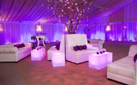 Event Decoration Service Petaluma